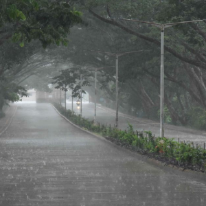 Weather